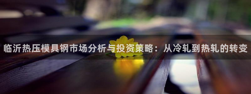 易倍单词平台:临沂热压模具钢市场分析与投资策略:从冷轧到