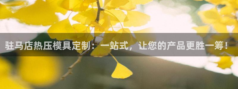 emc全站app下载:驻马店热压模具定制:一站式,让您的