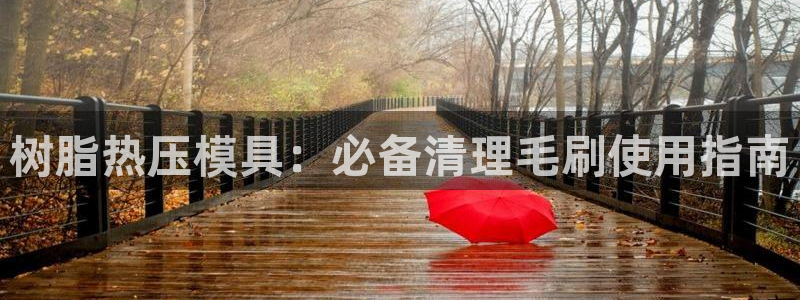 emc服务器是干啥的:树脂热压模具:必备清理毛刷使用指南