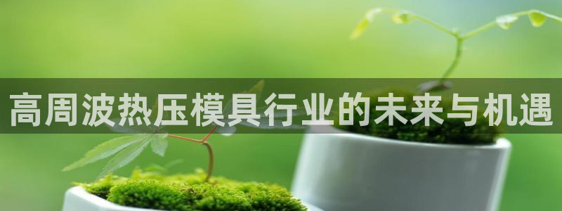 易倍申厂家：高周波热压模具行业的未来与机遇