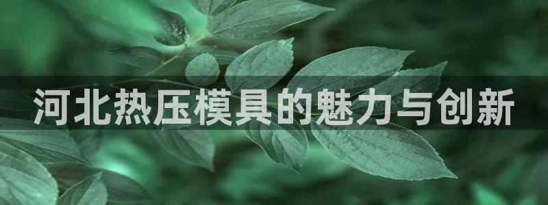 易倍纤能减肥吗:河北热压模具的魅力与创新