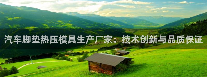 易倍达科技有限公司招聘：汽车脚垫热压模具生产厂家：技术创