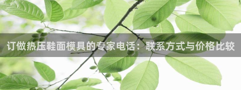 易倍易倍单词官方网站：订做热压鞋面模具的专家电话：联系方