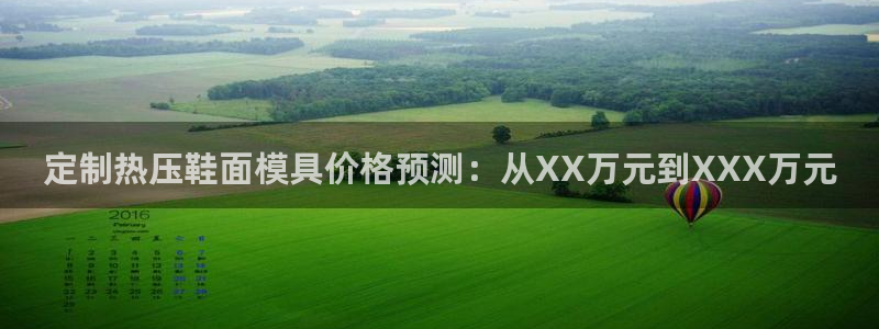 emc服务器是什么：定制热压鞋面模具价格预测：从XX万元