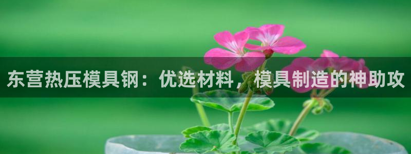 易倍思教育