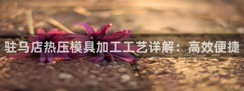 emc易倍全站官网：驻马店热压模具加工工艺详解：高效便捷