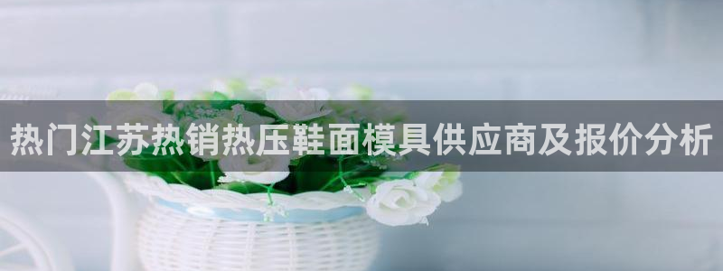 易倍易趣网：热门江苏热销热压鞋面模具供应商及报价分析