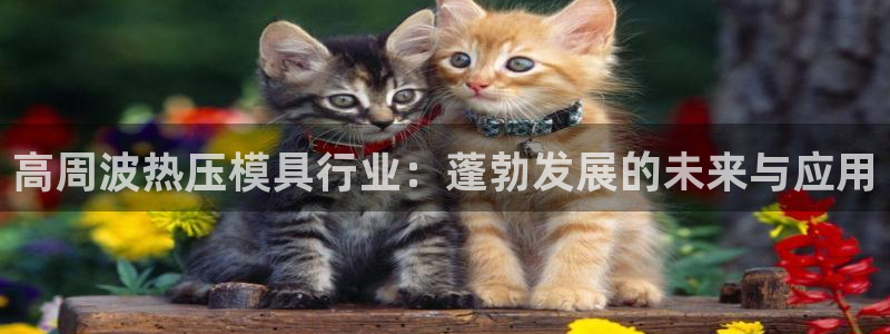 emc全站网页版