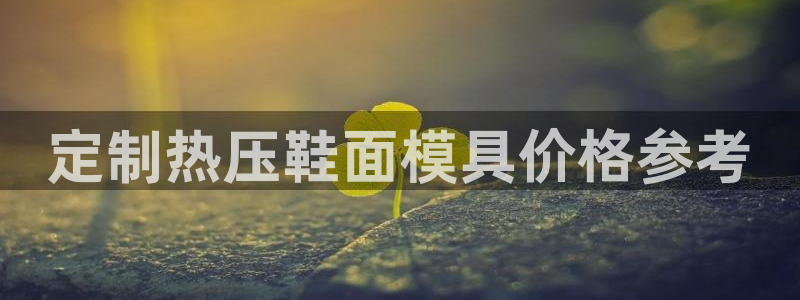 易倍申有用吗：定制热压鞋面模具价格参考