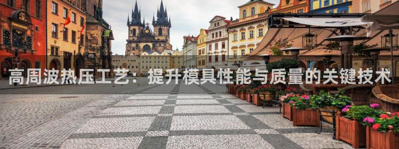 易倍科华生物科技有限公司：高周波热压工艺：提升模具性能与