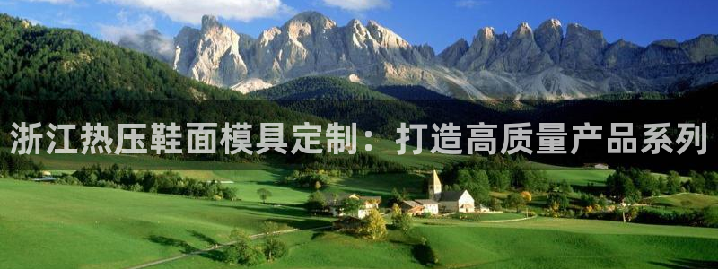 emc易倍电竞：浙江热压鞋面模具定制：打造高质量产品系列