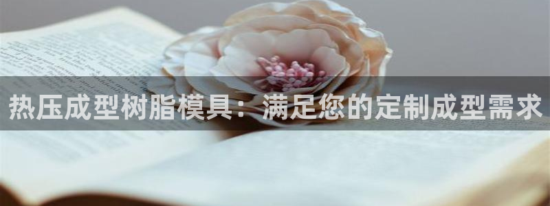 emc app下载：热压成型树脂模具：满足您的定制成型需