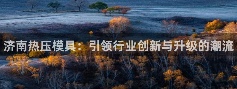 易倍英语官方网站登录：济南热压模具：引领行业创新与升级的