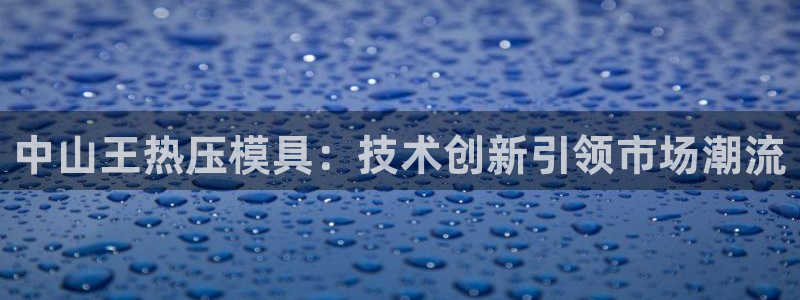 易倍纤减肥价格：中山王热压模具：技术创新引领市场潮流