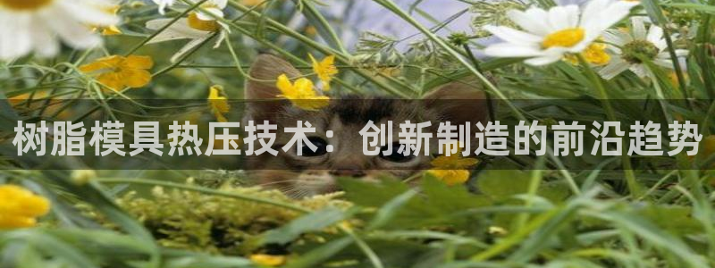 易倍达科技有限公司：树脂模具热压技术：创新制造的前沿趋势