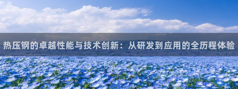 易倍申是进口药吗：热压钢的卓越性能与技术创新：从研发到应