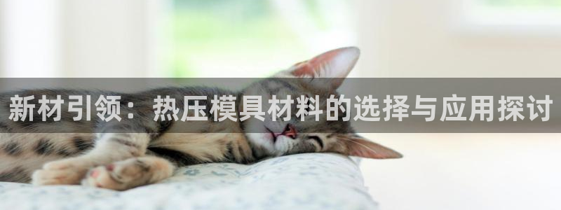 易倍单词app：新材引领：热压模具材料的选择与应用探讨