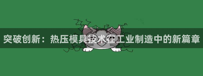 易倍纤酵素效果好吗：突破创新：热压模具技术在工业制造中的