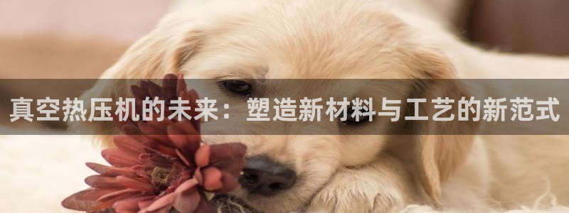 南京易倍易电子科技有限公司:真空热压机的未来:塑造新材料