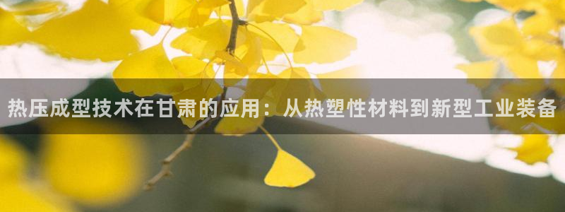 emc易倍登录：热压成型技术在甘肃的应用：从热塑性材料到