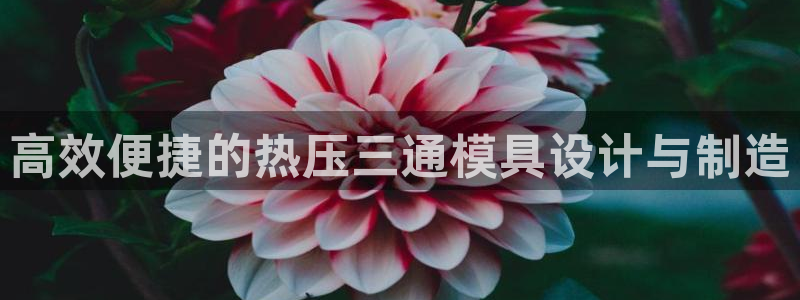 易倍单词平台:高效便捷的热压三通模具设计与制造