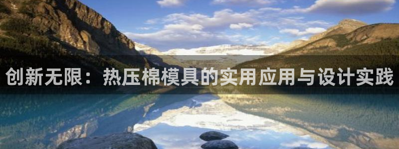 易倍达科技有限公司怎么样：创新无限：热压棉模具的实用应用