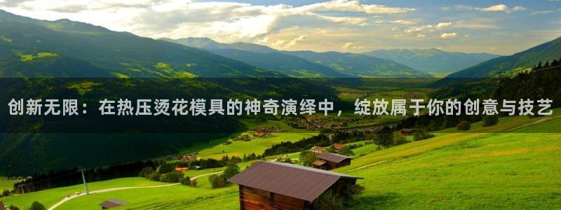 易倍电竞：创新无限：在热压烫花模具的神奇演绎中，绽放属于