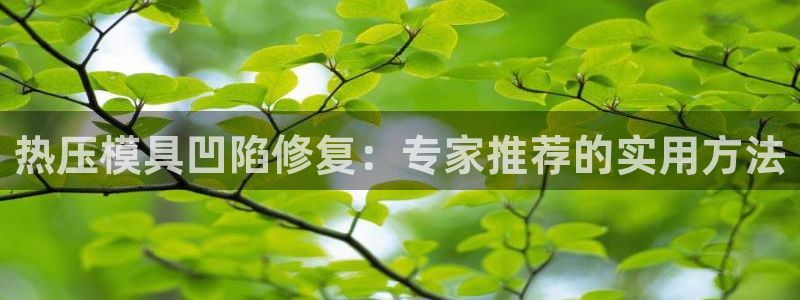 易倍申片的功效与作用：热压模具凹陷修复：专家推荐的实用方