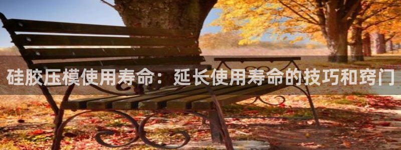 emc易倍下载：硅胶压模使用寿命：延长使用寿命的技巧和窍