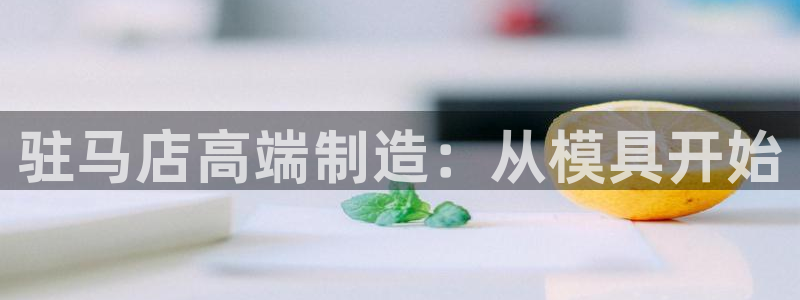 易倍思机电制造(上海)有限公司:驻马店高端制造:从模具开