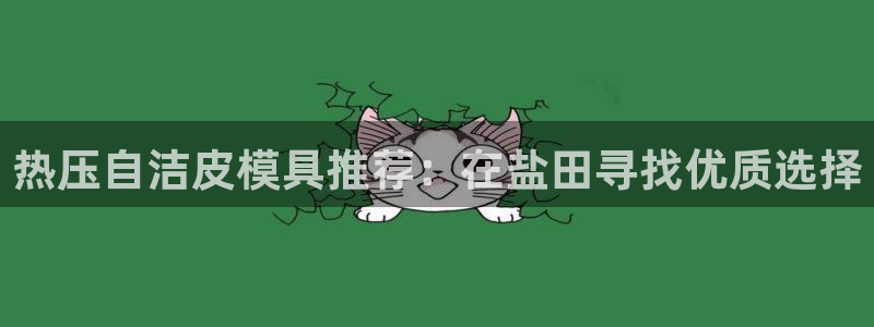 杭州易倍达科技有限公司怎么样：热压自洁皮模具推荐：在盐田