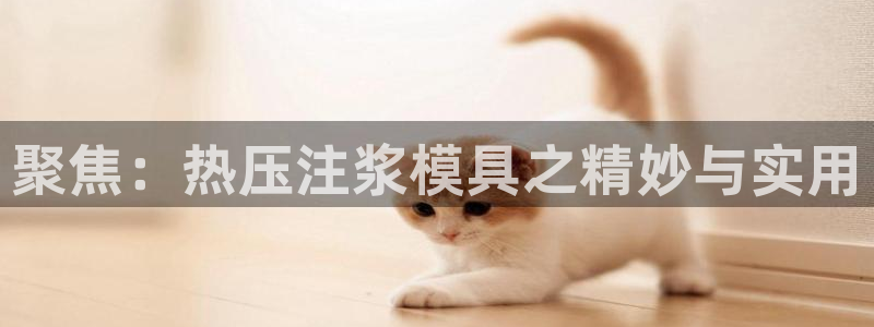 易倍网络技术有限公司是干嘛的：聚焦：热压注浆模具之精妙与