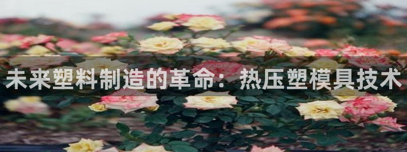 emc高频比低频好改：未来塑料制造的革命：热压塑模具技术