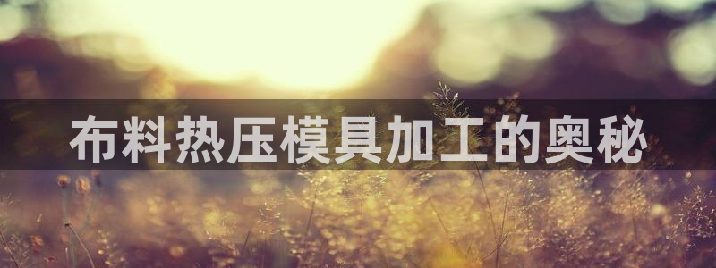 易倍网络技术有限公司是干嘛的