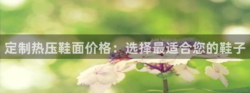 emc32软件：定制热压鞋面价格：选择最适合您的鞋子