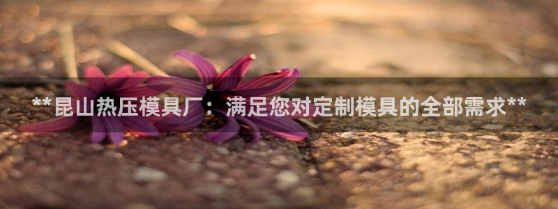 emc32软件安装：**昆山热压模具厂：满足您对定制模具