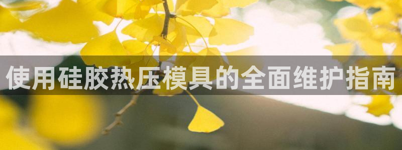 易倍申有用吗:使用硅胶热压模具的全面维护指南