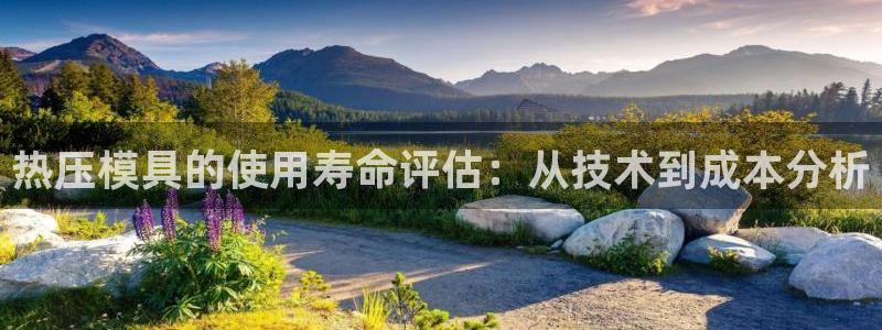 emc网页版：热压模具的使用寿命评估：从技术到成本分析