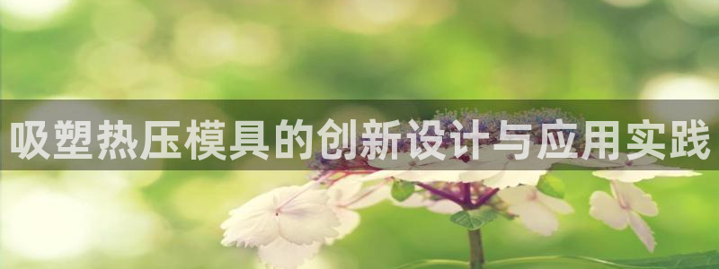 易倍申片的功效与作用:吸塑热压模具的创新设计与应用实践