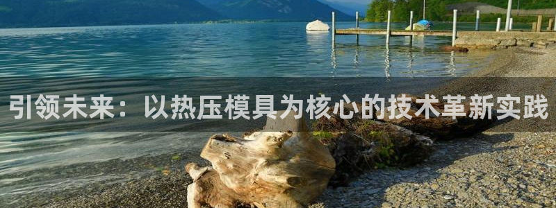 emc低频:引领未来:以热压模具为核心的技术革新实践