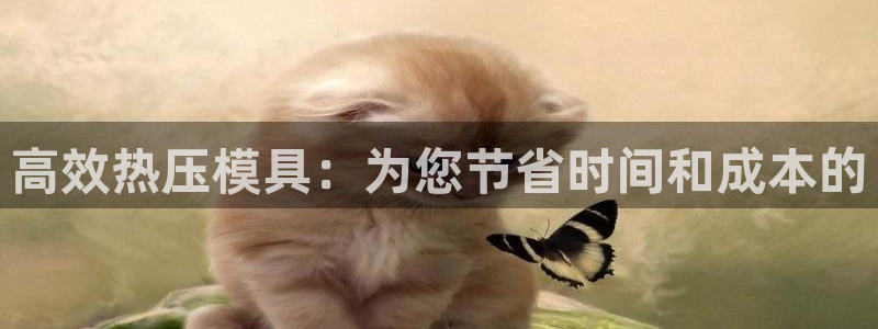 emc频率：高效热压模具：为您节省时间和成本的