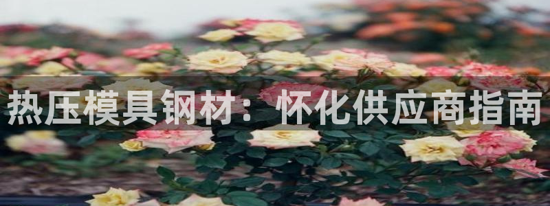 杭州易倍达上班怎么样