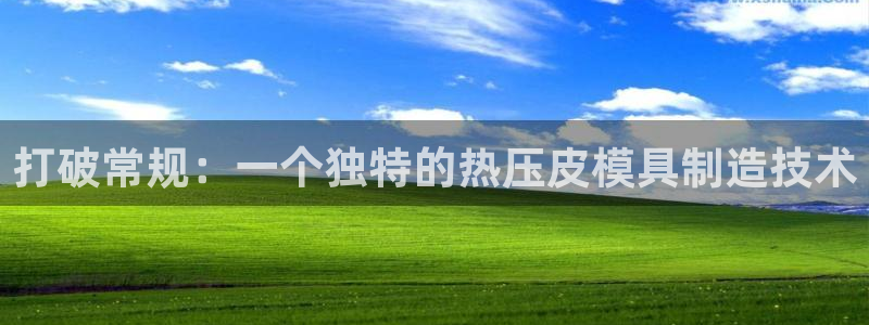 易倍申有用吗：打破常规：一个独特的热压皮模具制造技术