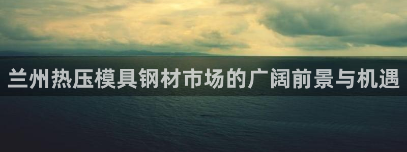 易倍达怎么样:兰州热压模具钢材市场的广阔前景与机遇