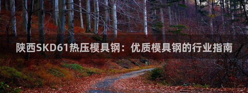 易倍申每盒价格是多少?